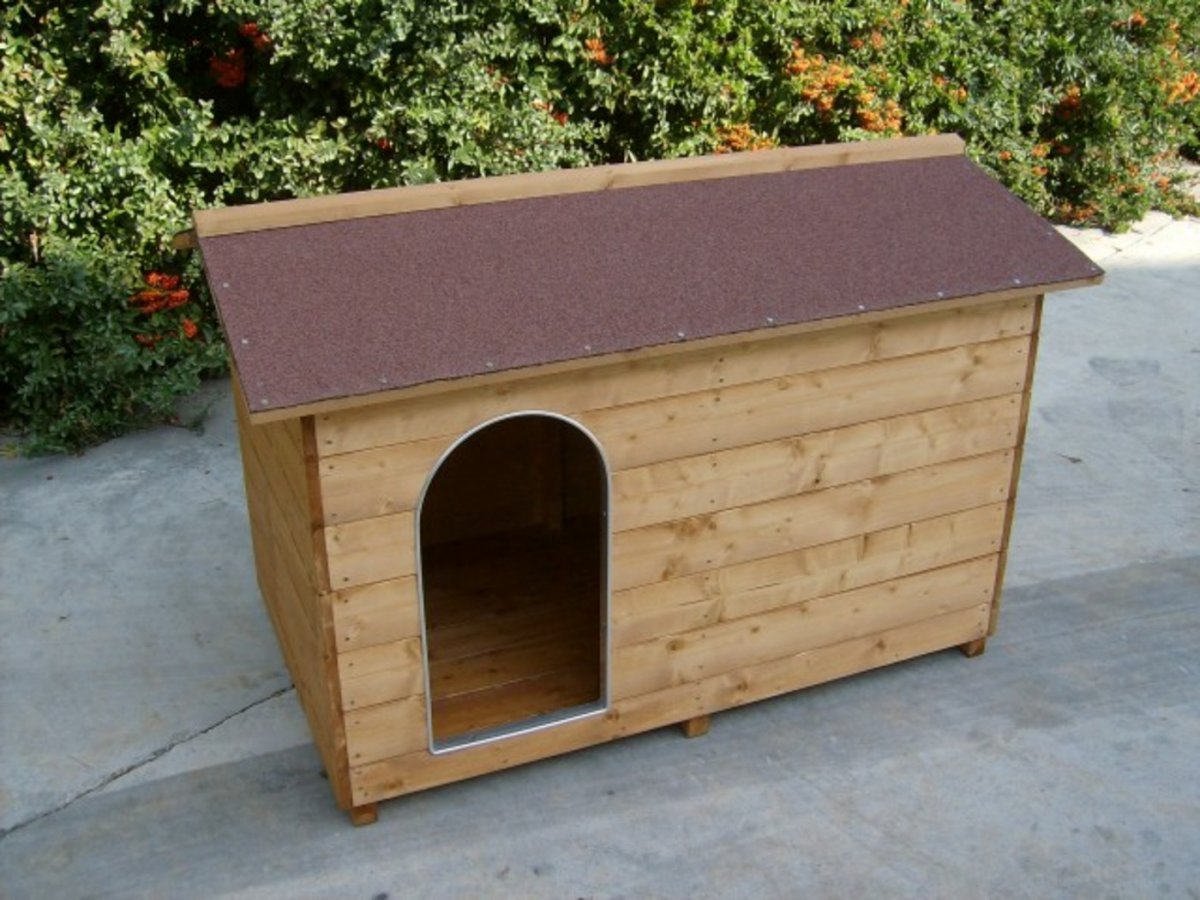 Cucce per cani in legno, come sceglierla 